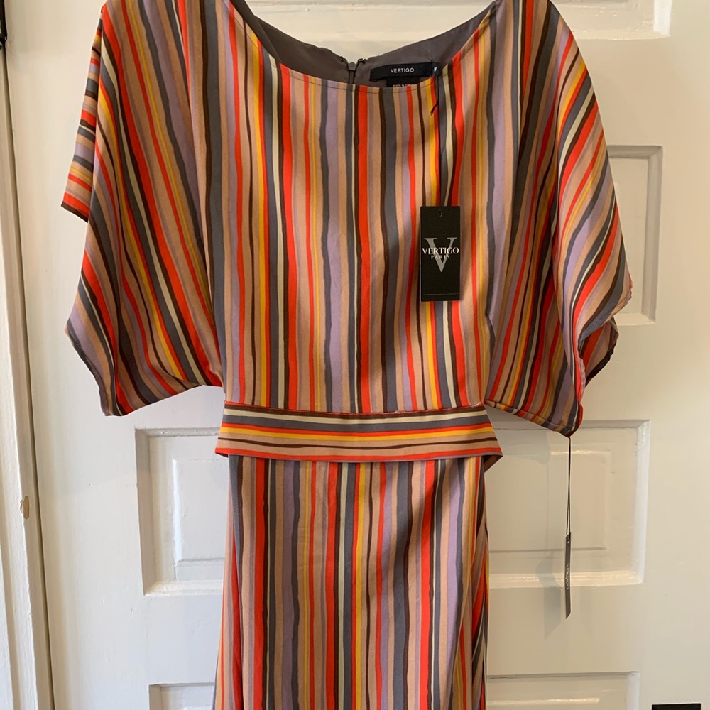 Vertical multi color stripe dress